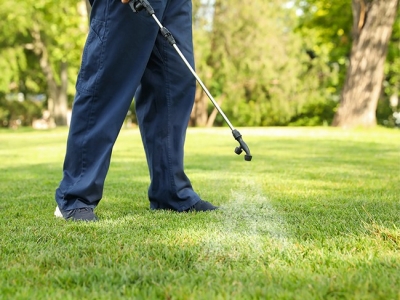 Spraying lawn for pest control; Adobe Stock: 372845405